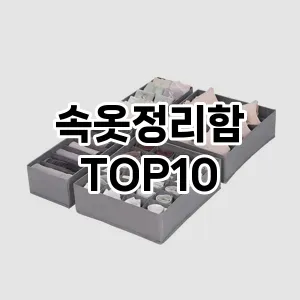 [할인추천]속옷정리함 추천 순위  TOP10 구매가이드 2025년 9월 1주차