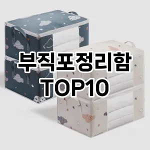 [눌러봐용]부직포정리함 추천 순위  TOP10 구매가이드 2025년 9월 3주차