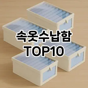 [리얼리뷰]속옷수납함 추천 순위  TOP10 구매가이드 2025년 9월 5주차