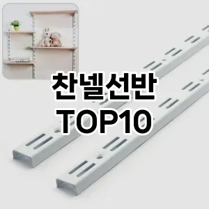 [추천리뷰]찬넬선반 추천 순위  TOP10 구매가이드 2025년 9월 1주차
