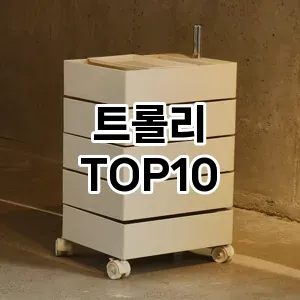 [베스트템]트롤리 추천 순위  TOP10 구매가이드 2025년 9월 3주차