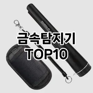 [핫템추천]금속탐지기 추천 순위  TOP10 구매가이드 2025년 10월 1주차