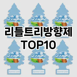 [특가추천]리틀트리방향제 추천 순위  TOP10 구매가이드 2025년 10월 1주차