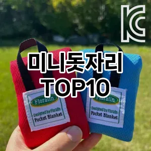 [특가제품]미니돗자리 추천 순위  TOP10 구매가이드 2025년 10월 4주차