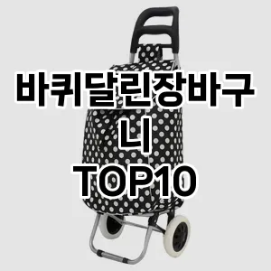 [리얼리뷰]바퀴달린장바구니 추천 순위  TOP10 구매가이드 2025년 10월 4주차