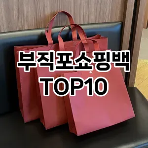 [리뷰보셈]부직포쇼핑백 추천 순위  TOP10 구매가이드 2025년 10월 4주차