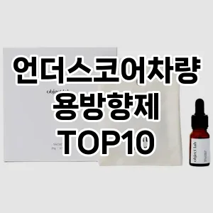 [핫템추천]언더스코어차량용방향제 추천 순위  TOP10 구매가이드 2025년 10월 4주차