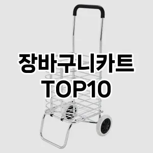 [핫템추천]장바구니카트 추천 순위  TOP10 구매가이드 2025년 10월 1주차