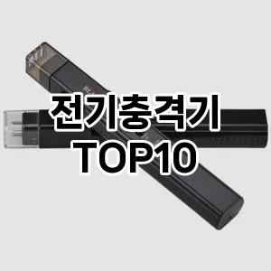 [리얼리뷰]전기충격기 추천 순위  TOP10 구매가이드 2025년 10월 1주차