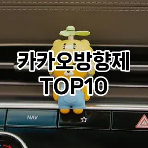 [특가제품]카카오방향제 추천 순위  TOP10 구매가이드 2025년 10월 4주차