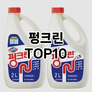 [봐보세요]펑크린 추천 순위  TOP10 구매가이드 2025년 10월 4주차