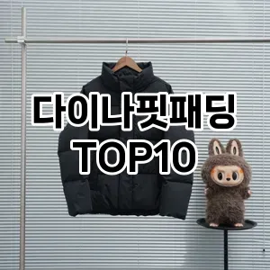 [솔직후기]다이나핏패딩 추천 순위  TOP10 구매가이드 2025년 11월 5주차