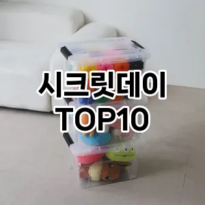 [눌러봐용]시크릿데이 추천 순위  TOP10 구매가이드 2025년 10월 4주차