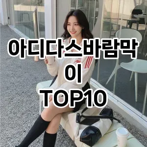 [핫딜안내]아디다스바람막이 추천 순위  TOP10 구매가이드 2025년 11월 4주차