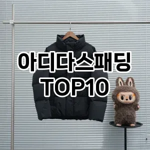 [리얼리뷰]아디다스패딩 추천 순위  TOP10 구매가이드 2025년 11월 5주차