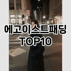 [진짜후기]에고이스트패딩 추천 순위  TOP10 구매가이드 2025년 11월 5주차