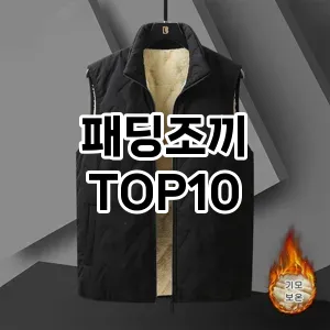 [진짜리뷰]패딩조끼 추천 순위  TOP10 구매가이드 2025년 11월 2주차