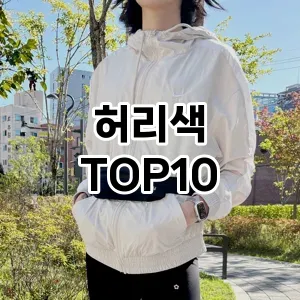 [강력추천]허리색 추천 순위  TOP10 구매가이드 2025년 11월 4주차