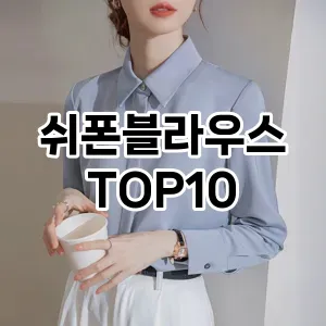 [핫템추천]쉬폰블라우스 추천 순위  TOP10 구매가이드 2026년 1월 1주차| 후기리뷰 | 가격 비교
