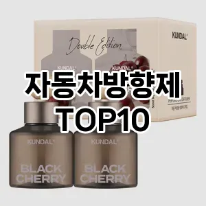 [리얼리뷰]자동차방향제 추천 순위  TOP10 구매가이드 2025년 12월 5주차
