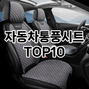 [특가추천]자동차통풍시트 추천 순위  TOP10 구매가이드 2025년 12월 5주차