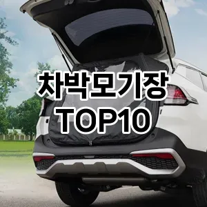 [리뷰알림]차박모기장 추천 순위  TOP10 구매가이드 2025년 12월 5주차