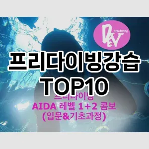 [할인제품]프리다이빙강습 추천 순위  TOP10 구매가이드 2025년 12월 2주차