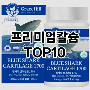 [베스트템]프리미엄칼슘 추천 순위  TOP10 구매가이드 2025년 12월 2주차