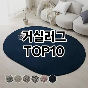 [추천리뷰]거실러그 추천 순위  TOP10 구매가이드 2026년 1월 2주차| 가격 정보 | 장점 단점 비교