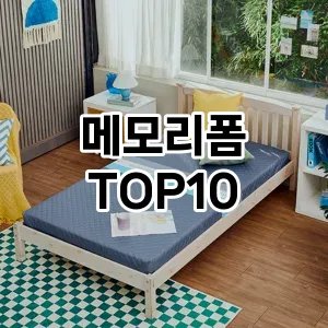 [핫딜안내]메모리폼 추천 순위  TOP10 구매가이드 2026년 1월 2주차2024년 | BEST상품 | 가격 비교