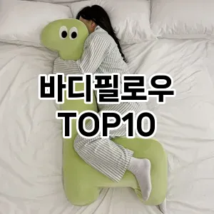 [봐보세요]바디필로우 추천 순위  TOP10 구매가이드 2026년 1월 2주차2024년 | BEST상품 | 가격 비교