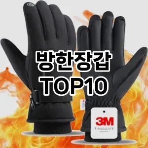 [진짜후기]방한장갑 추천 순위  TOP10 구매가이드 2026년 1월 2주차(가격 장단점)