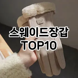 [솔직리뷰]스웨이드장갑 추천 순위  TOP10 구매가이드 2026년 1월 2주차최고의 선택을 위한 완전한 안내서