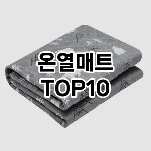 [핫템추천]온열매트 추천 순위  TOP10 구매가이드 2026년 1월 2주차| 가격 정보 | 장점 단점 비교