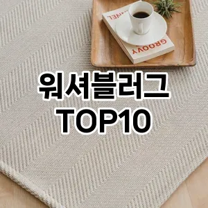 [할인제품]워셔블러그 추천 순위  TOP10 구매가이드 2026년 1월 2주차(가격 장단점)