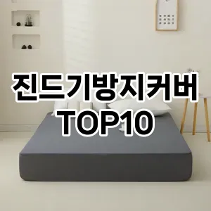 [대박할인]진드기방지커버 추천 순위  TOP10 구매가이드 2026년 1월 2주차(가격 장단점)
