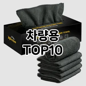 [레알핫템]차량용 추천 순위  TOP10 구매가이드 2026년 1월 2주차| 후기리뷰 | 가격 비교