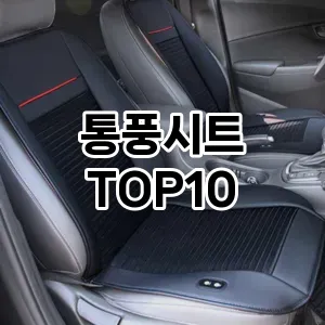 [봐보세요]통풍시트 추천 순위  TOP10 구매가이드 2026년 1월 2주차(가격 장단점)