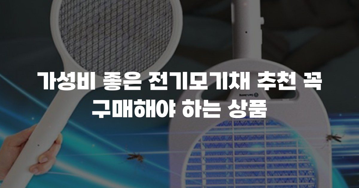 가성비 좋은 전기모기채 추천 꼭 구매해야 하는 상품
