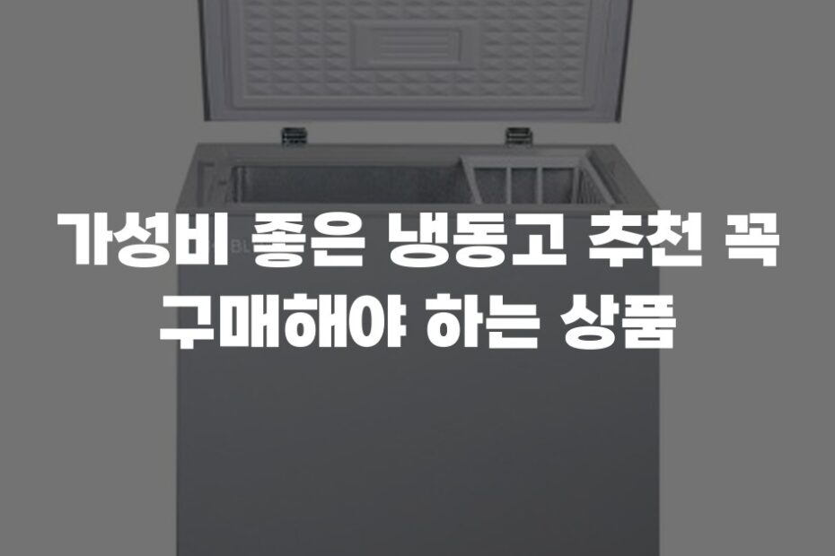 가성비 좋은 냉동고 추천 꼭 구매해야 하는 상품