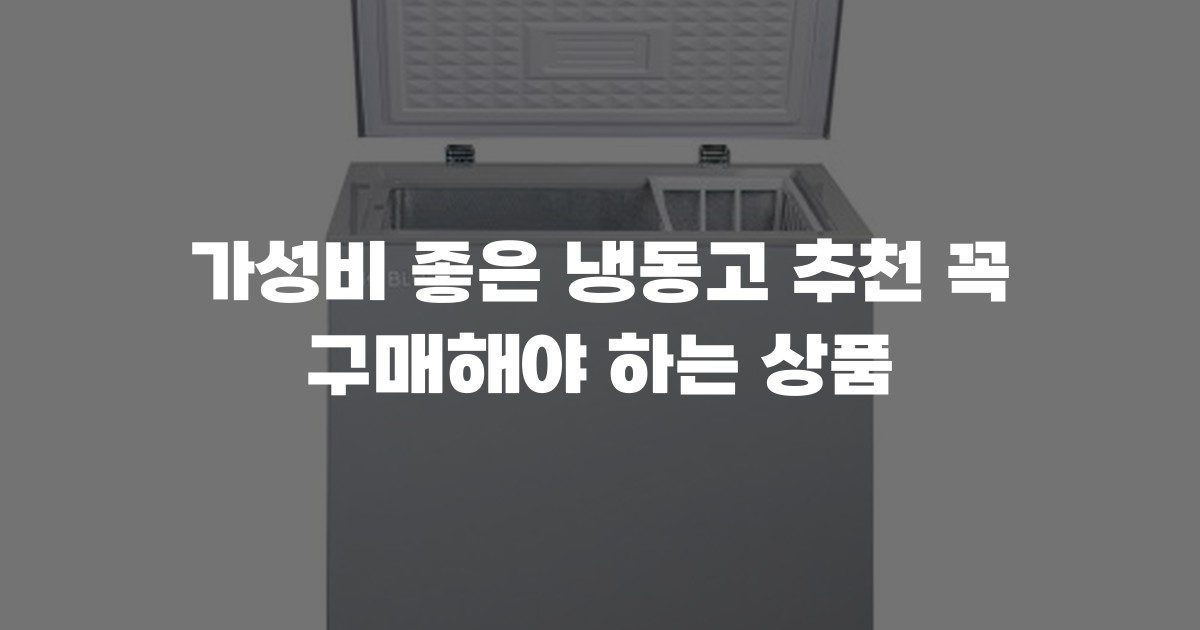 가성비 좋은 냉동고 추천 꼭 구매해야 하는 상품