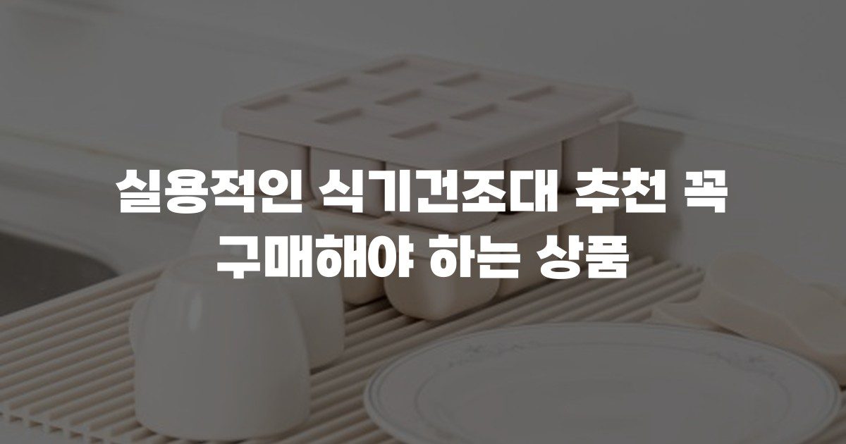 실용적인 식기건조대 추천 꼭 구매해야 하는 상품