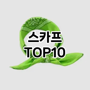 [진짜리뷰]스카프 추천 순위  TOP10 비교 대체템