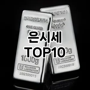 [특가소개]은시세 추천 순위 구매가이드 TOP10 2026년 4월4주차