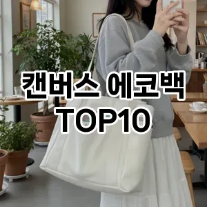 [레알핫템]캔버스 에코백 추천 순위  TOP10 2026년 4월1주차