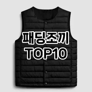 [눌러봐요]패딩조끼 추천 순위  TOP10 2026년 4월3주차