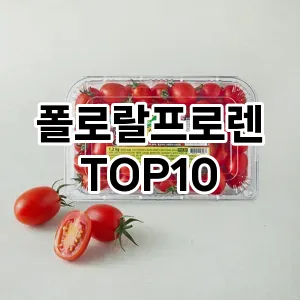 [리얼후기]폴로랄프로렌 추천 순위  TOP10 2026년 4월3주차