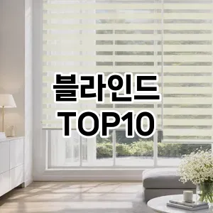 [제품알림]블라인드 추천 순위 구매가이드 TOP10 일주일 사용