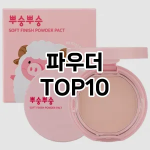 [리뷰알림]파우더 추천 순위 구매가이드 TOP10 구매처