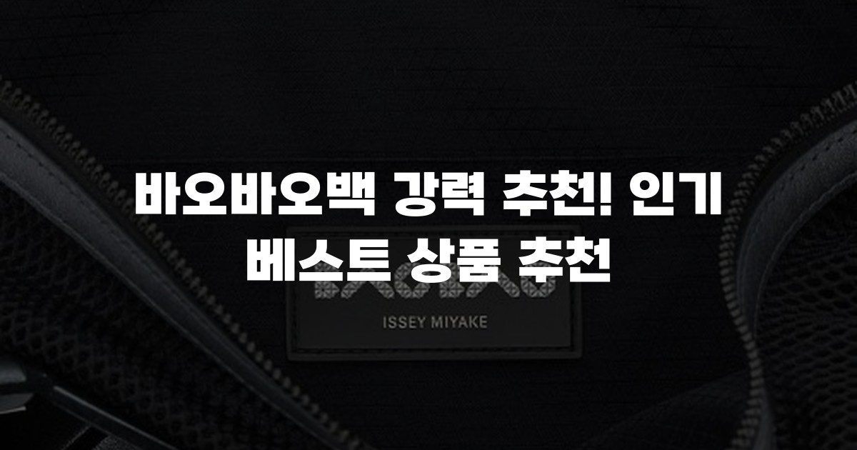 바오바오백 강력 추천! 인기 베스트 상품 추천